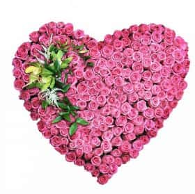 Нежное сердце